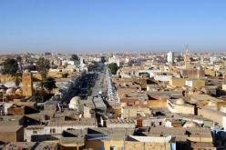 تسجيل أكثر من 2,200 إصابة بداء الليشمانيا بالوادي