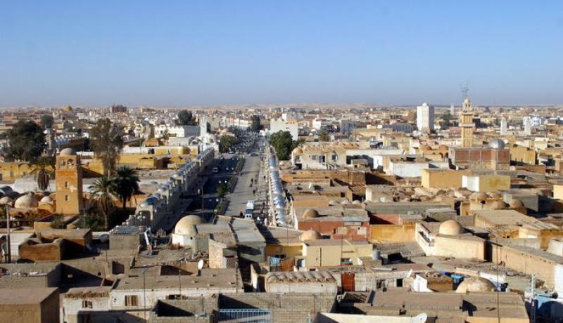 تسجيل أكثر من 2,200 إصابة بداء الليشمانيا بالوادي