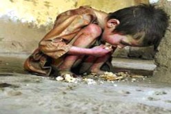 ارتفاع معدلات سوء التغذية في العالم