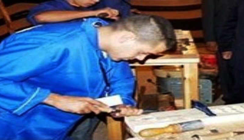 أكثر من 1500 منصب تكوين للدخول المهني المقبل في النعامة