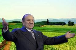 إعفاء الفلاحين من دفع تي.في.آ عند اقتنائهم عتاد مصنع محليا