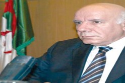 بن عيسي :أول الواردات من الماعز انطلاقا من سويسرا في طريقها الى الجزائر