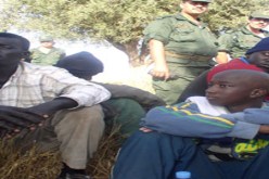 توقيف 34 حراقا عبر ولايات الجنوب