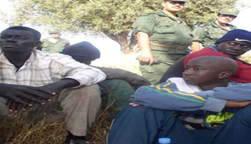 توقيف 34 حراقا عبر ولايات الجنوب