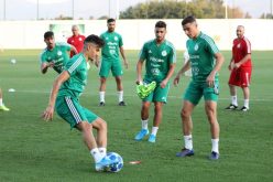 المنتخب الوطني يواصل تحضيراته تحسبا لمواجهة البينين