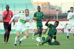 المرابطون» يكشفون أخطاء «الخضر» قبل الغابون والشعب يريد لا كوب دافريك»