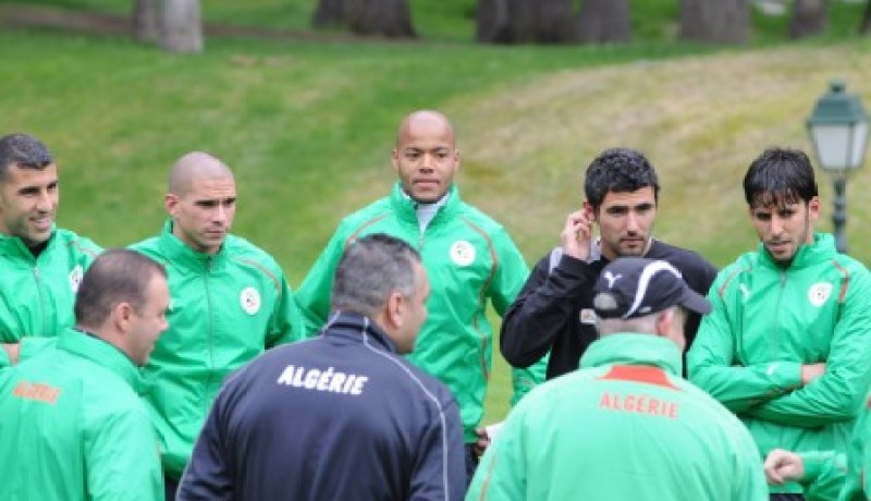 80 من المائة من العرب يتوقعون تأهل الخضر