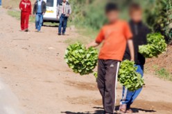 معاناة متواصلة لأطفال الجهة الغربية بتيبازة….حلم برغيف، حذاء ومحفظة.. والعطلة لا مجال للحديث عنها