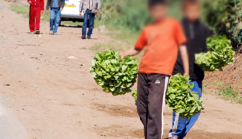 معاناة متواصلة لأطفال الجهة الغربية بتيبازة….حلم برغيف، حذاء ومحفظة.. والعطلة لا مجال للحديث عنها