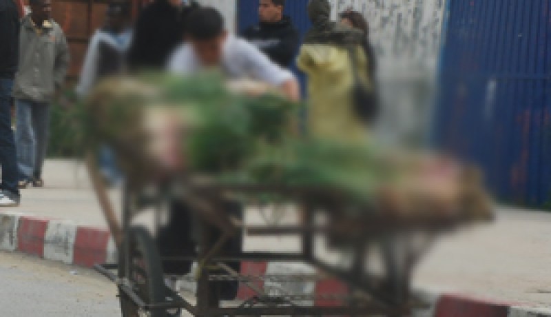 رغم أنها متعبة ولا تدر عليهم إلا بالقليل…شباب يتحدون البطالة بمهن متواضعة ولا يخجلون من جر عربات “الكرموس” وعصير البرتقال