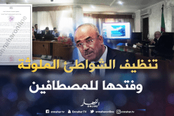 بدوي: 500 شاطئ مسموح للسباحة صائفة 2019