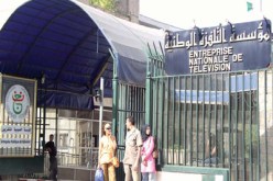 الفتنة داخل نقابة التلفزيون