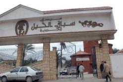 مـائـة مليون للفائز بجائزة بوتفليقة للخيول العربية