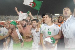 الخضر في دائرة الإندثار والنسيان… آهٍ عــــلى أيام القـــــــاهرة وأم درمـــــــــان