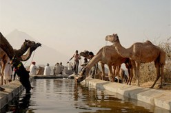 30 الف نسمة ب “سكرة” يعيشون تحت عتبة الفقر:السكان في رحلة البحث عن المياه الشروب بورڤلة