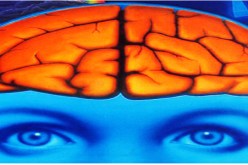 خلايا جذعية في العين يمكن أن تعالج عدة أمراض بصرية