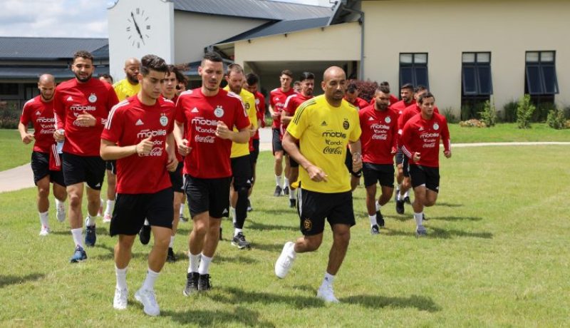 بالفيديو.. الخضر يجرون أول حصة تدريبية بلوزاكا