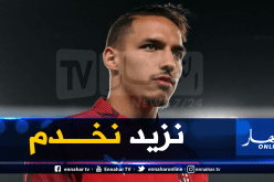 بن ناصر عُرضة للإنتقادات في إيطاليا