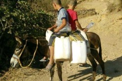 الشلف: سكان برج البعل يستنجدون بالوالي لتوفير الماء الشروب بالظهرة