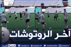 بالفيديو.. الخضر يُجرون آخر حصة تدريبية قبل مواجهة تونس بملعب رادس