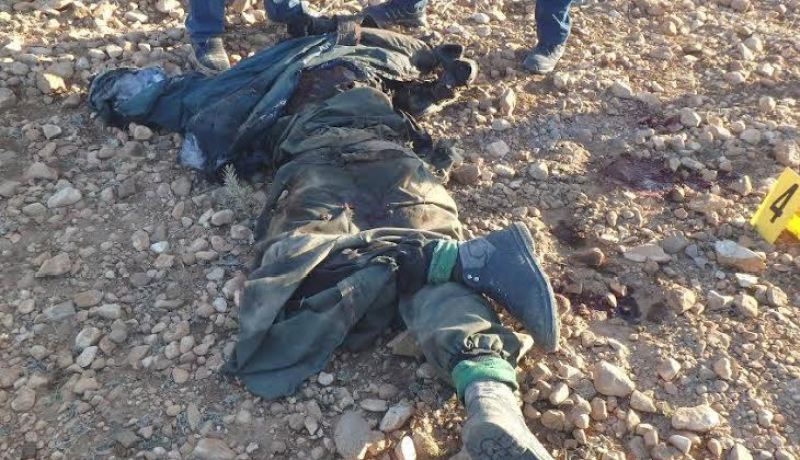 بالصور حصيلة العملية الأمنية بعين جفال المغيلة في تونس