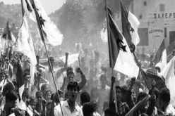 افتتاح أسبوع الفيلم الثوري بالمدية