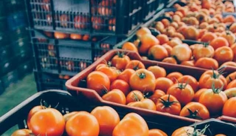 انفجار أنبوب غاز بمصنع الطماطم برقان في أدرار