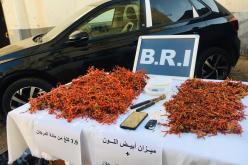 “بياري” عنابة توقف ثلاثيني بحوزته 8 كلغ من المرجان