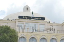 مجلس الدولة.. تسجيل 52 بالمائة من القضايا تخص منازعات الصفقات العمومية