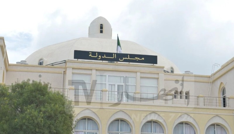 مجلس الدولة.. تسجيل 52 بالمائة من القضايا تخص منازعات الصفقات العمومية