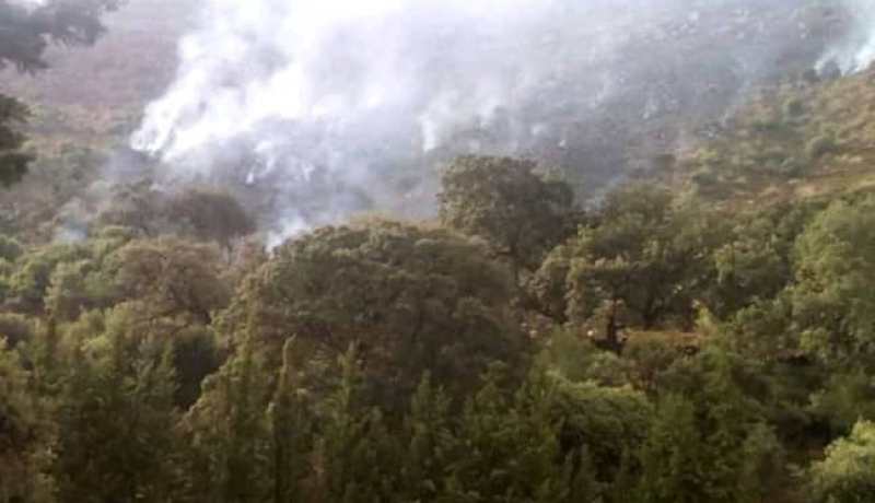 الشلف: إندلاع حريق مهول بغابة لغمونة الحجر بالزبوجة