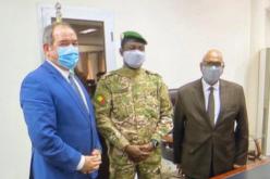 بوقدوم يناقش كيفية الدفع بعملية السلم والمصالحة مع نائب رئيس دولة مالي