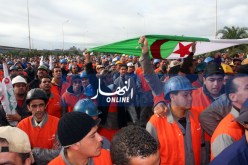 مدير “لانام”: مشكل مركب “الحجار” ليس إشكال الوكالة !