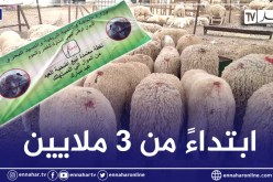 وزارة الفلاحة تفتتح نقطة بيع الأضاحي بالعاصمة