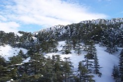 مرتفعات البليدة تكتسي حلة بيضاء عقب تساقط الثلوج