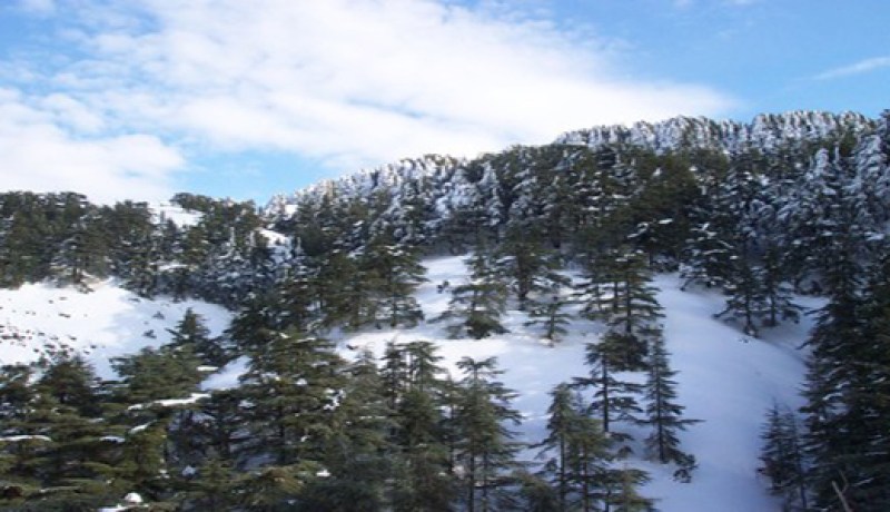 مرتفعات البليدة تكتسي حلة بيضاء عقب تساقط الثلوج