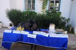 الطارف: حجز كمية من المرجان وعتاد مخصص لإستخراجه بالشط