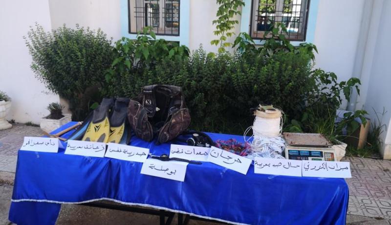 الطارف: حجز كمية من المرجان وعتاد مخصص لإستخراجه بالشط