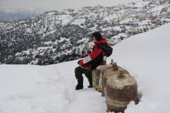 مقتل 3 أشخاص.. والثلوج تعزل 10 ولايات