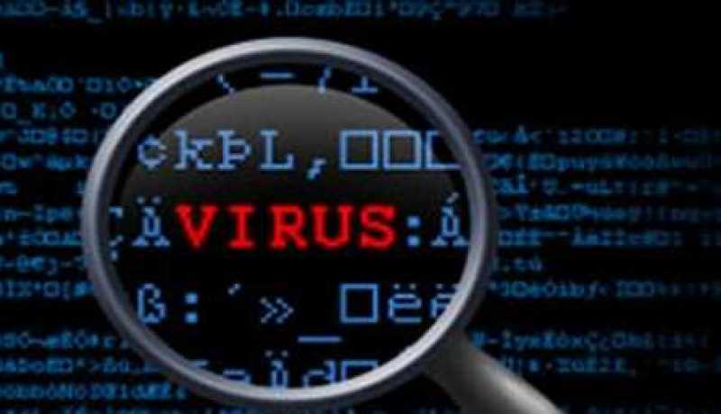 تورط الولايات المتحدة في نشر 3 فيروسات