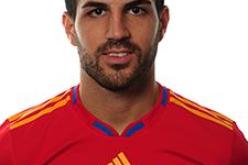 مونديال 2010: الشك يحول مشاركة فابريغاس امام المانيا