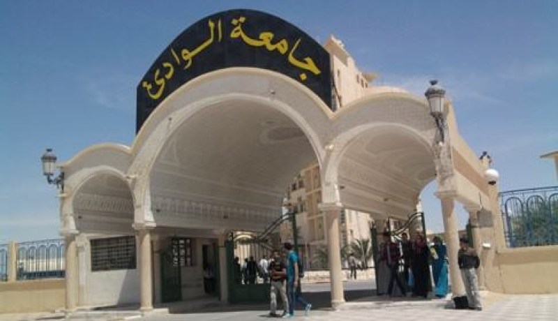 فتح 56 تخصصا للتكوين في الدكتوراه بجامعة الوادي