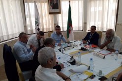 الفاف تُخصص 1.5 مليار سنتيم لتطوير كرة القدم النسوية