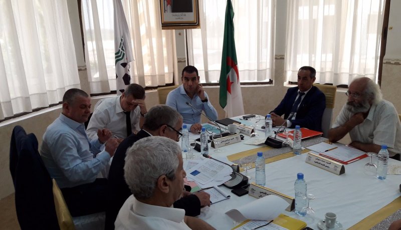 الفاف تُخصص 1.5 مليار سنتيم لتطوير كرة القدم النسوية