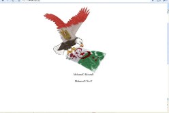 هاكر مصري يخترق موقع الفاف ويهين العلم الجزائري