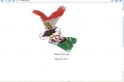 ''هاركرز'' مصري يخترق موقع الفاف ويهين العلم الجزائري