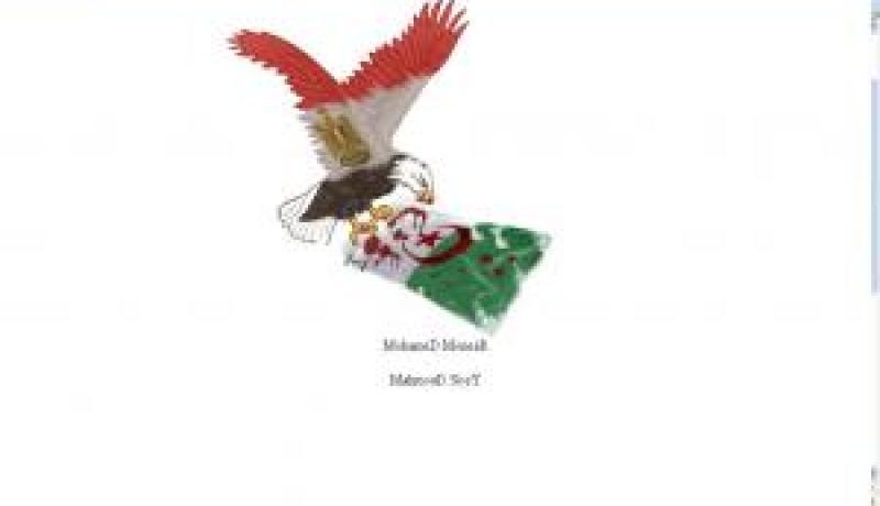 ''هاركرز'' مصري يخترق موقع الفاف ويهين العلم الجزائري