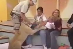 فهد يلتهم طفلة على المباشر خلال برنامج تلفزيوني