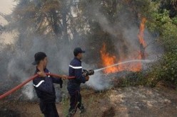 تراجع في عدد حرائق الغابات بولاية قسنطينة