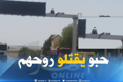 مقصيون من السّكن يهددون بالانتحار من فوق لافتة بتيسمسيلت